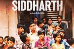 Siddharth-alaune-663