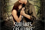 affiche-sublime-creature