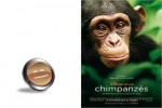 chimpanzes-smil